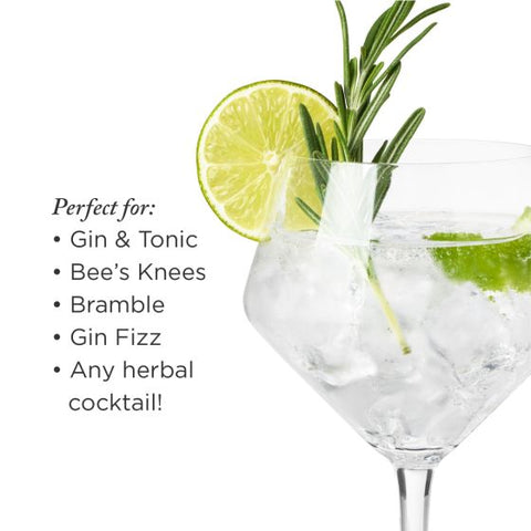 Angled Crystal Gin & Tonic Glasses by Viski®