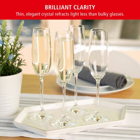 Spiegelau Salute 7.4 oz Champagne flute (set of 4)